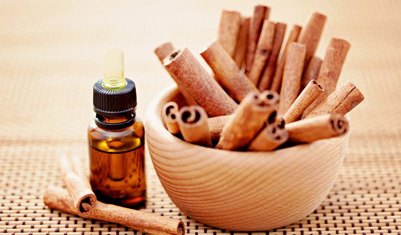 cinnamon-oil-get-rid-of-ants